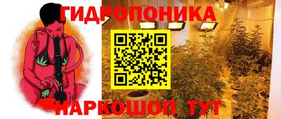 прущие крисы Гагарин