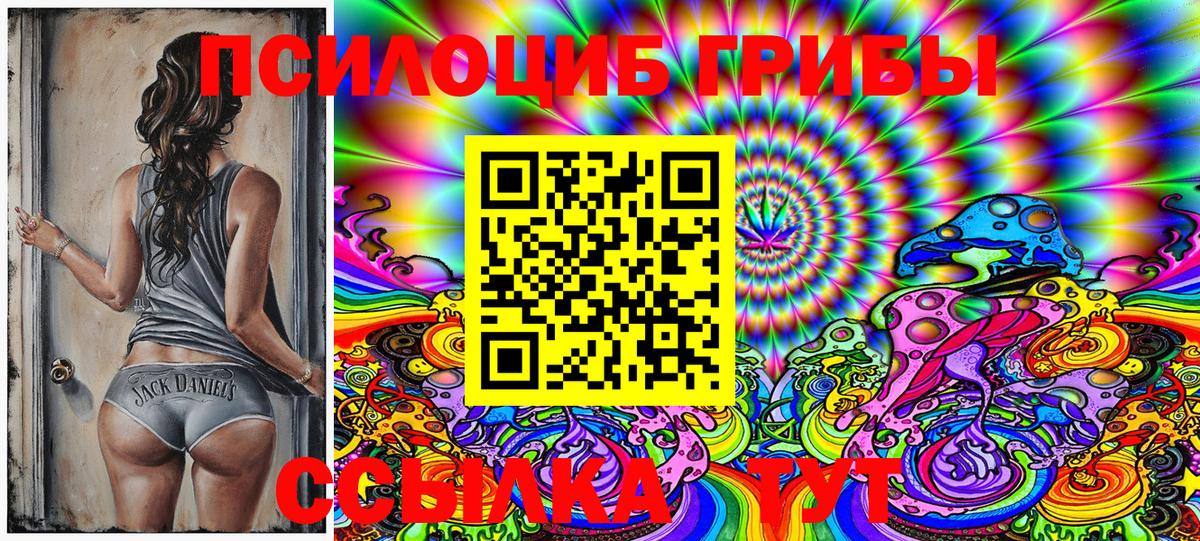 Псилоцибиновые грибы ЛСД  Вход с VPN  Сокол  Галлюциногенные грибы Psilocybine cubensis 